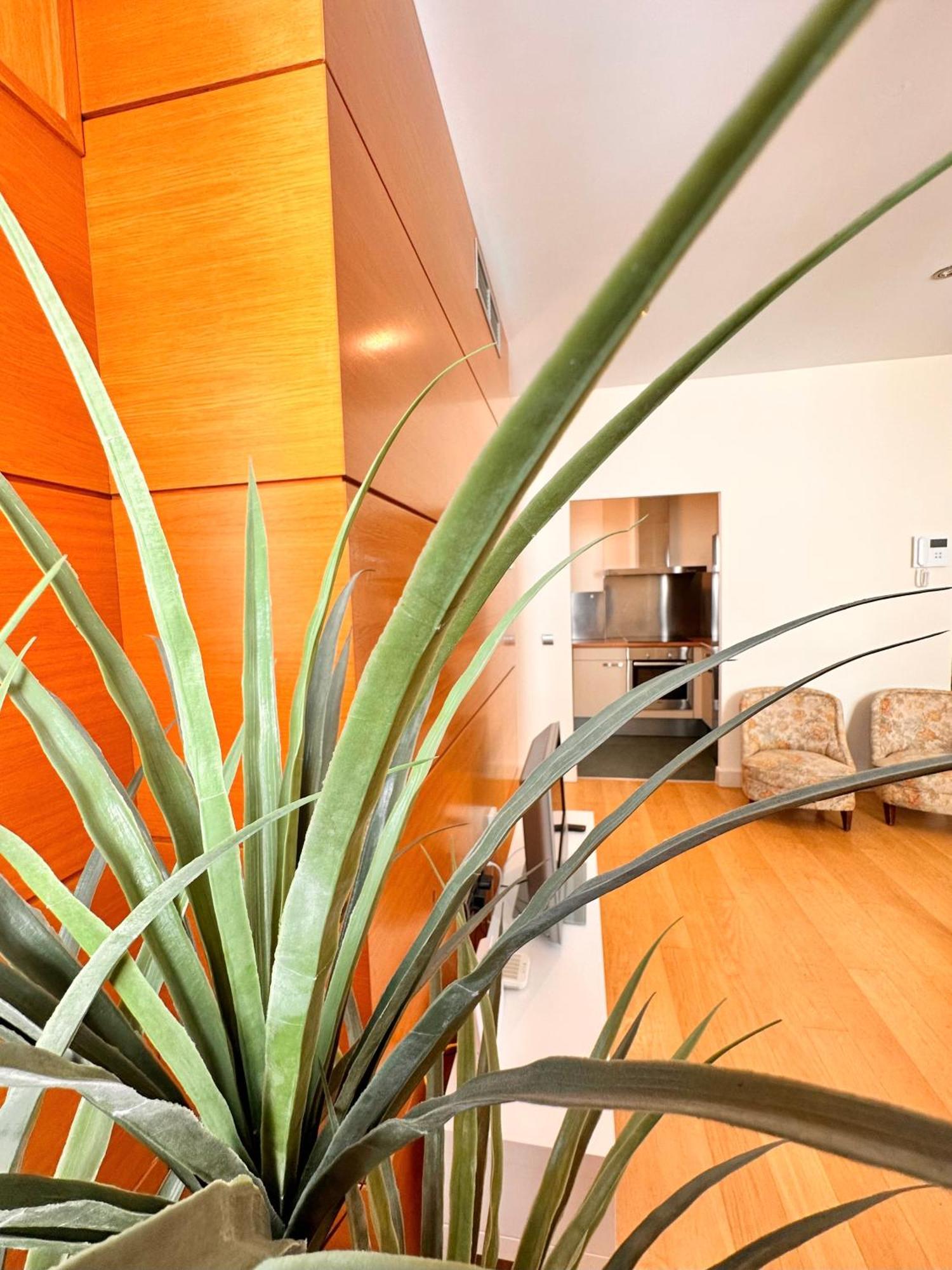 Penthouse Near Cathedral Private Rooftop Private Parking Seville Ngoại thất bức ảnh